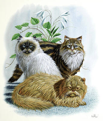 Nature Wall Art featuring the painting Cats by Don Balke