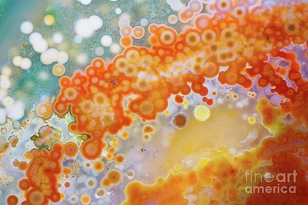 Abstract Photograph - Caviar by Eric Kyle