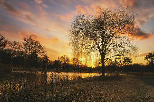 Nature Wall Art featuring the photograph Cedar Beach Winter Sunset by Jason Fink