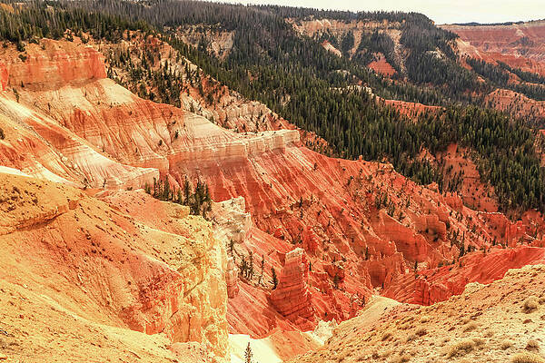 Utah Wall Art featuring the photograph Cedar Breaks View by Dawn Richards