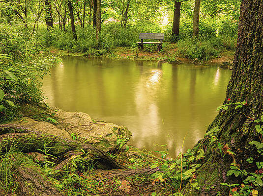 Reflection Wall Art featuring the photograph Cedar Creek East by Jason Fink