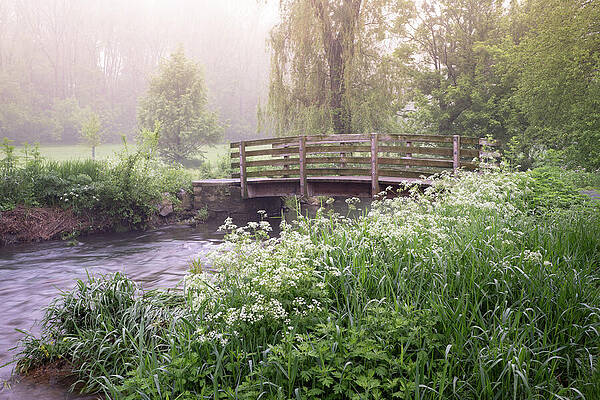 Serene Misty Riverbank Wall Art
