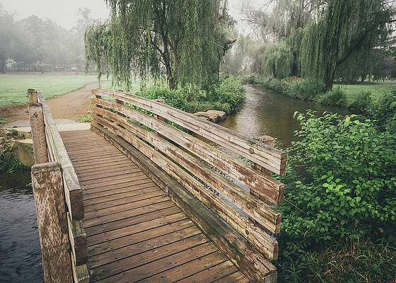 Natural Photograph - Cedar Creek Park Footbridge Misty Morning by Jason Fink