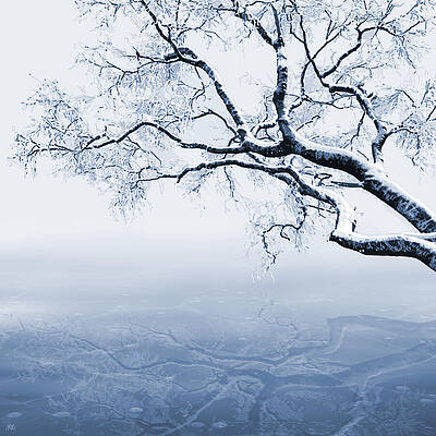 Winter Tree Over Frozen Lake Wall Art
