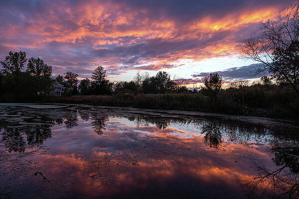 Sunset Wall Art featuring the photograph Central Park Reflections by Todd Wilkinson