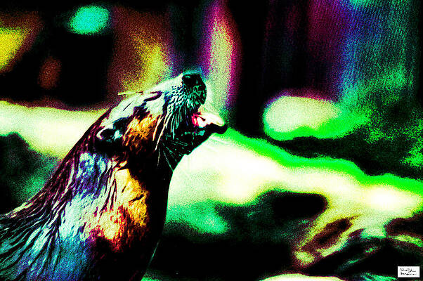 CgyZoo- Otter by Alex John Bergerman