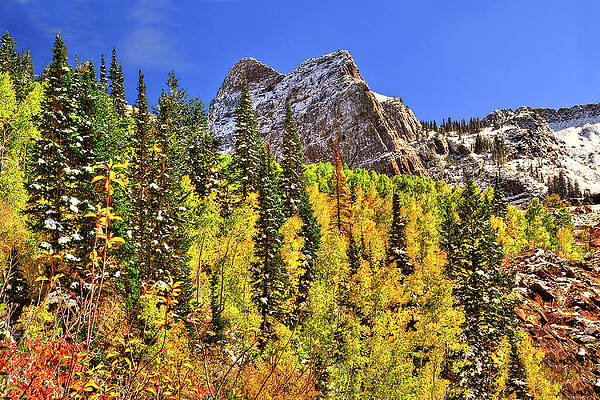 Color Photograph - Changing Seasons, Sundial Peak by Abbie Warnock