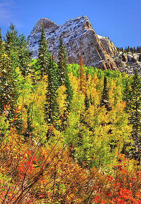 Color Photograph - Changing Seasons, Sundial Peak Vertical by Abbie Warnock