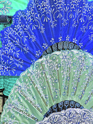 Color Wall Art featuring the photograph Charleston Fans by Rick Locke - Out of the Corner of My Eye