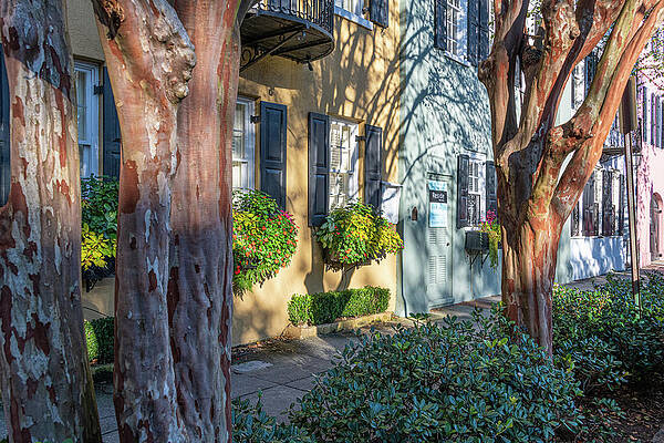 South Carolina Wall Art featuring the photograph Charleston Rainbow Row by Douglas Wielfaert