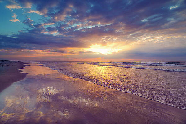 Chasing Dreams by Penny Polakoff