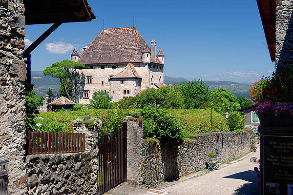 Château in the Countryside Photograph