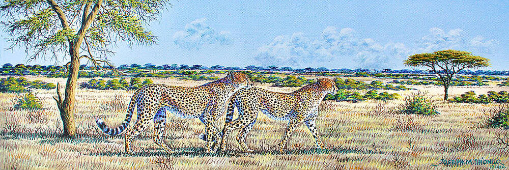 Kenya Wall Art featuring the painting Cheetah Couples by Joseph Thiongo