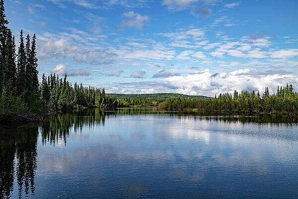 Wilderness Photograph - Chena River by Cindy Robinson