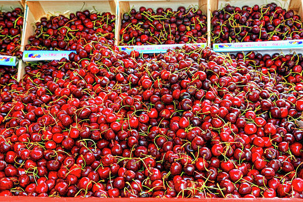 Wall Art featuring the photograph Cherries By The Bucketful-Digital Art by Steve Templeton