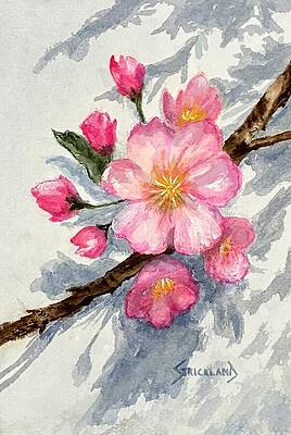 Cherry Blossom Branch Painting