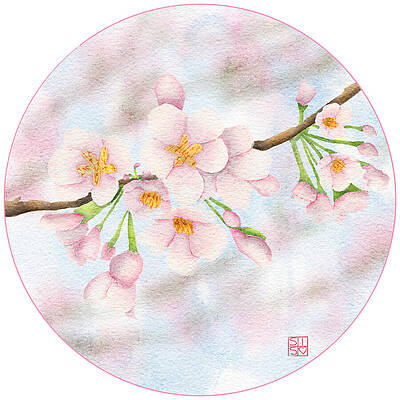 Floral Wall Art featuring the digital art Cherry Blossom Buds In Bloom by Snow Iris Studio