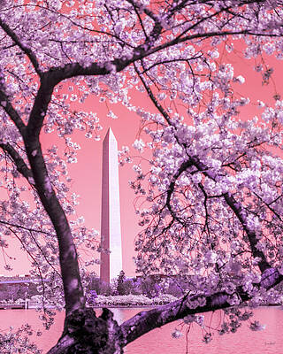Wall Art featuring the digital art Cherry Blossoms And The Washington Monument by Bruce Block