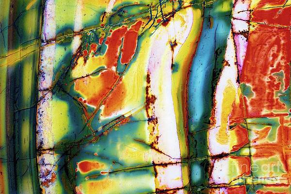 Abstract Photograph - Island Stream by Eric Kyle