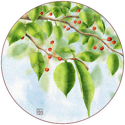 Watercolor Digital Art - Cherry Tree Branch by Snow Iris Studio