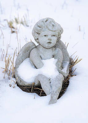 Winter Wall Art featuring the photograph Cherub In The Snow by Dave King