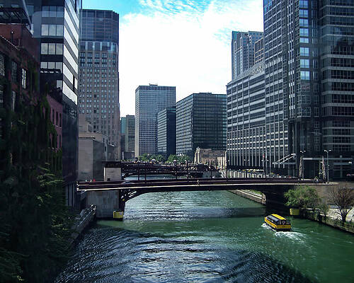 Wall Art featuring the photograph Chicago At The Chicago River by Flees Photos