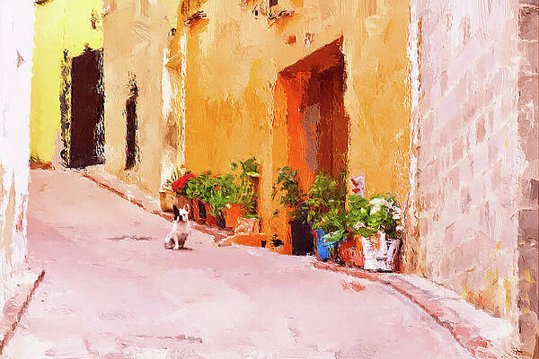 Summer Wall Art featuring the mixed media Chico In Sagunto by Tatiana Travelways