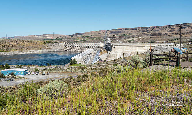 July Wall Art featuring the photograph Chief Joseph Dam In July by Tom Cochran