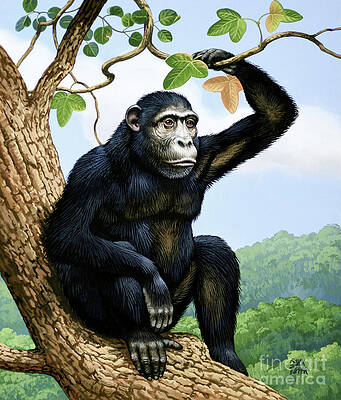 Tree Painting - Chimpanzee Sitting On Tree Branch by Chuck Ripper