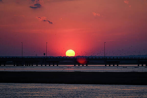 Wall Art featuring the photograph Chincoteague Causeway Sunset by Steven Nelson