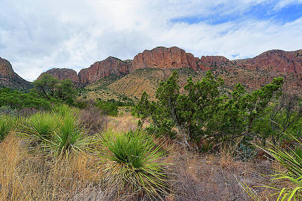 Desert Mountain Landscape Wall Art