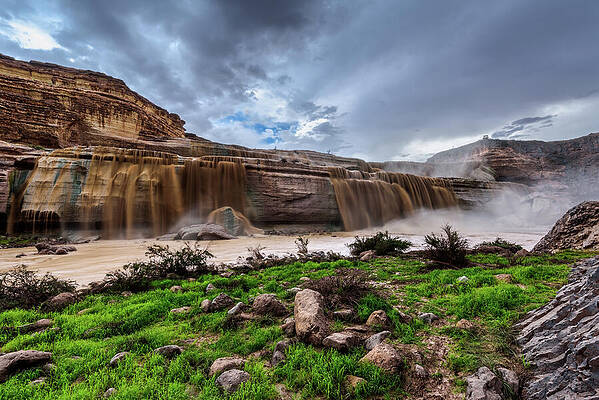 Arizona Photograph - Chocolate Greens by Matt Halvorson
