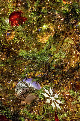 Festive Christmas Tree Decorations Photograph