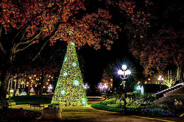 Christmas at the Galleria Garden by Anthony Hightower
