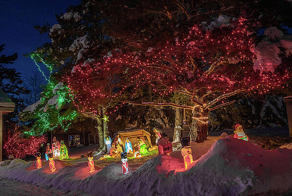 Wall Art featuring the photograph Christmas Decorations_1564 by Linda Triplett