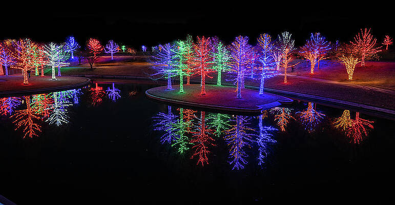 Photograph - Christmas Forest Reflection by Ron Long Ltd Photography