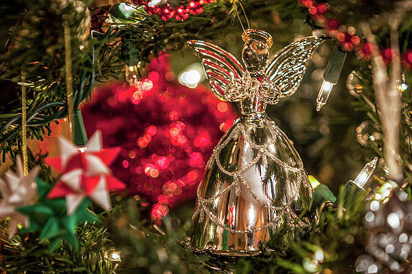 Wall Art featuring the photograph Christmas Ornaments_1212 by Linda Triplett