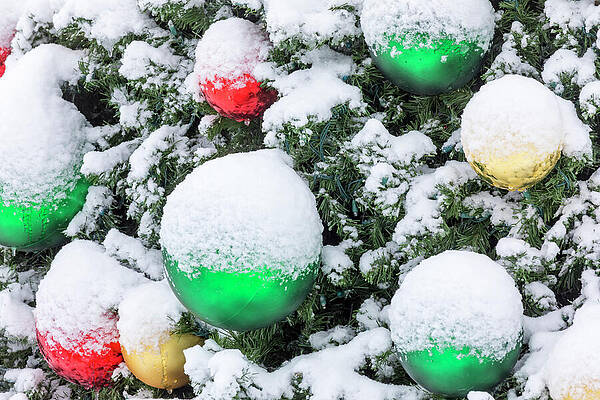 Winter Wall Art featuring the photograph Christmas Tree Ornaments With Snow 2 by Kelley King