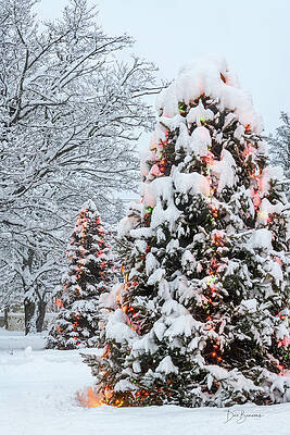 Winter Photograph - Christmas Trees In Blizzard #6455 by Dan Beauvais