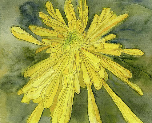 Flower Painting - Chrysanthemum, Golden Flower, November Birth Flower by Elizabeth Reich