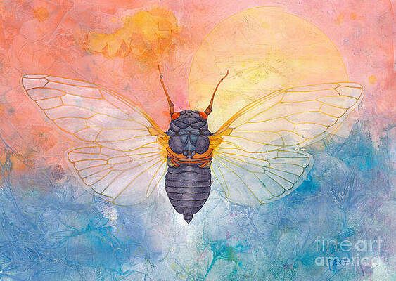 Wall Art featuring the painting Cicada Dream by Marie Stone-van Vuuren
