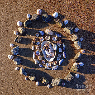 Wall Art featuring the photograph Circle Of Life by Olivier Le Queinec