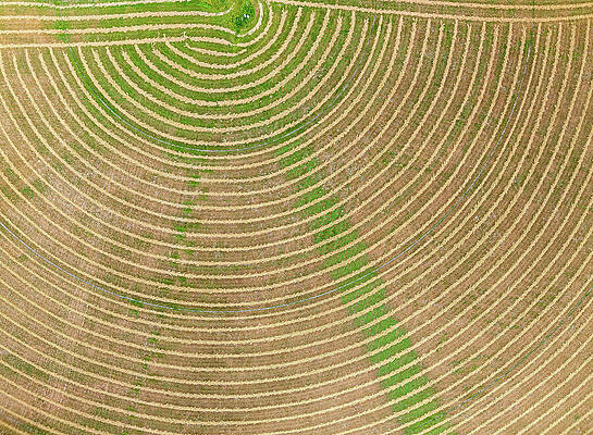 Aerial View of Circular Field Patterns Wall Art