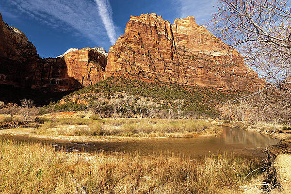 Desert Photograph - Citadel Along The Virgin River by Craig A Walker