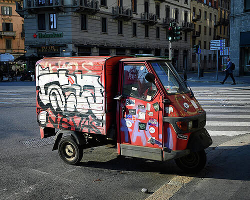 Wall Art featuring the photograph City Ape by Steven Nelson