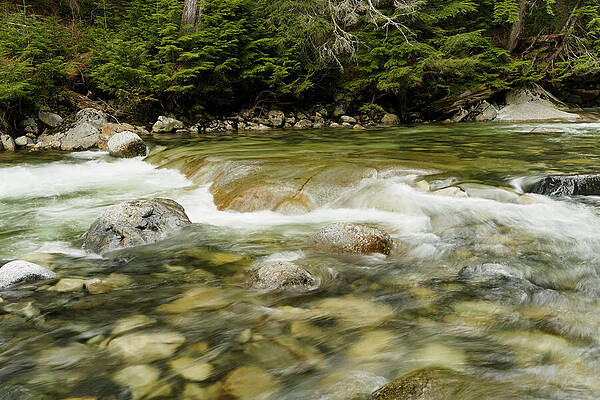 Clear Current on the South Fork Snoqualmie by Carl Prothman