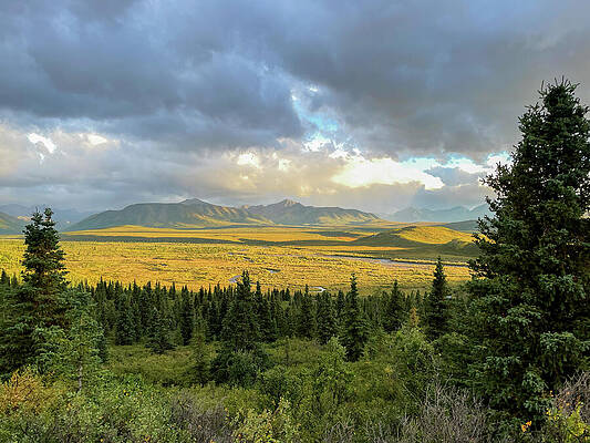 Wall Art featuring the photograph Clearing Storm In Denali National Park by Harry Banks