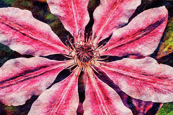 Wall Art featuring the digital art Clematis With Lichen Texture by Bruce Block