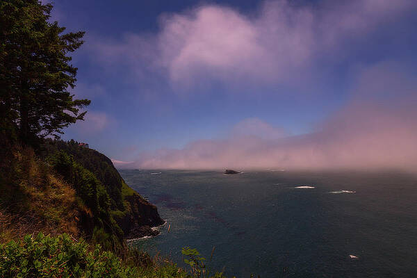 Landscape Photograph - Cliff On The Sea by DeAnna Lord