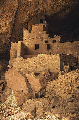Wall Art featuring the photograph Cliff Palace Ruins, Mesa Verde, Colorado - Vertical by Abbie Warnock